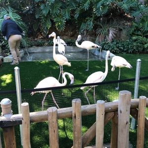 Meet your Posher, Katharine